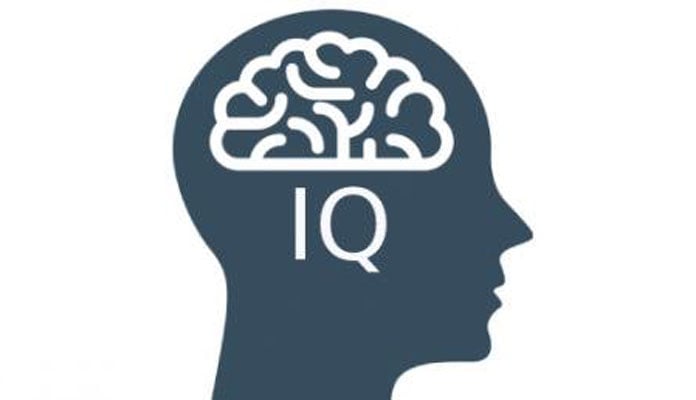 Анальный перерыв для повышения IQ