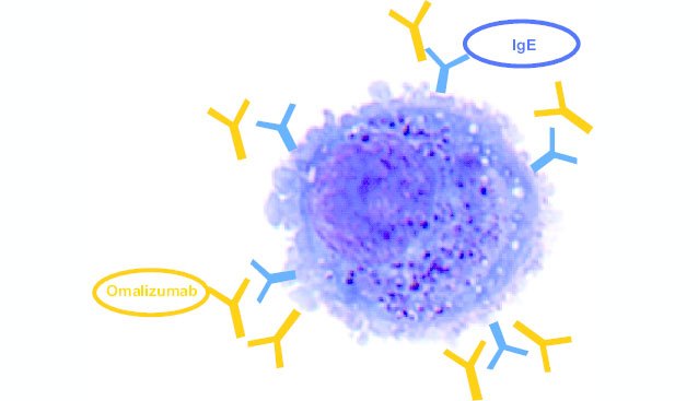 8 Types of Multiple Myeloma – Page 8 – New Life Ticket