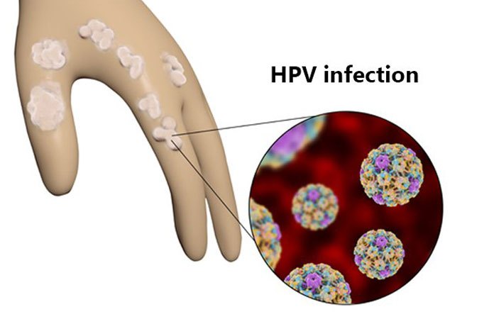 can you get hpv from touching hands