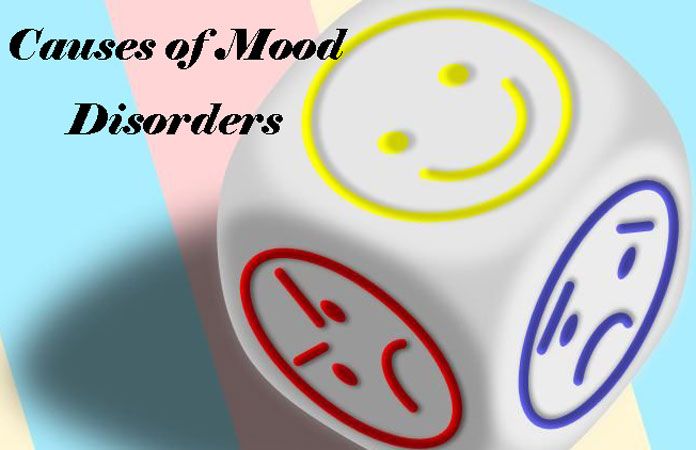 causes-of-mood-disorders-page-4-new-life-ticket