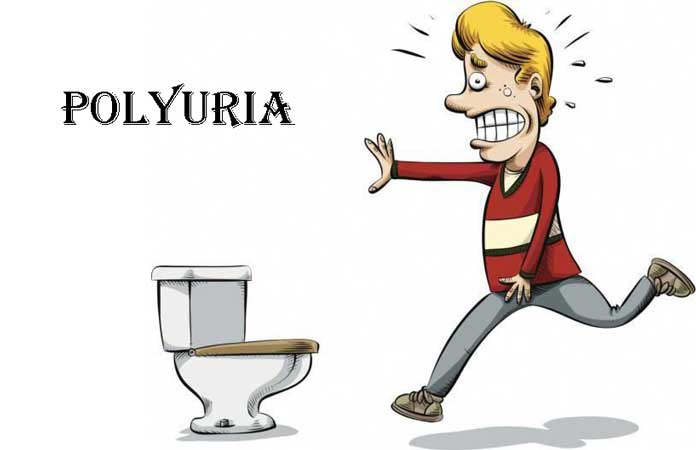 nocturnal polyuria symptoms