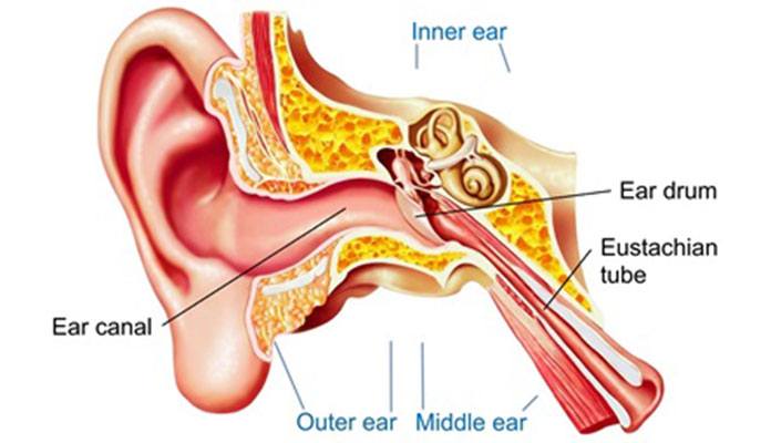 Can A Swollen Ear Canal Heal Itself